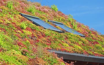 Osgathorpe living roof systems