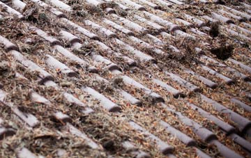 Osgathorpe roof cleaning companies