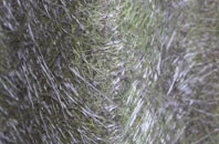 Osgathorpe fibreglass roof work